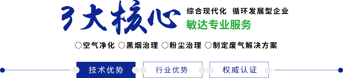 男人女人操大逼敏达环保科技（嘉兴）有限公司